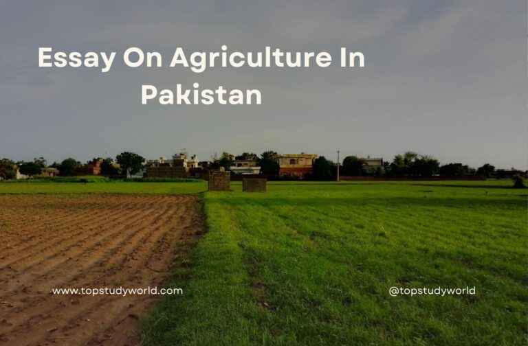 Essay On Agriculture In Pakistan