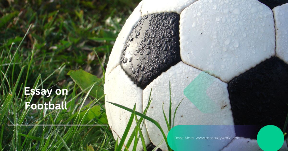 Essay On Football Top Study World